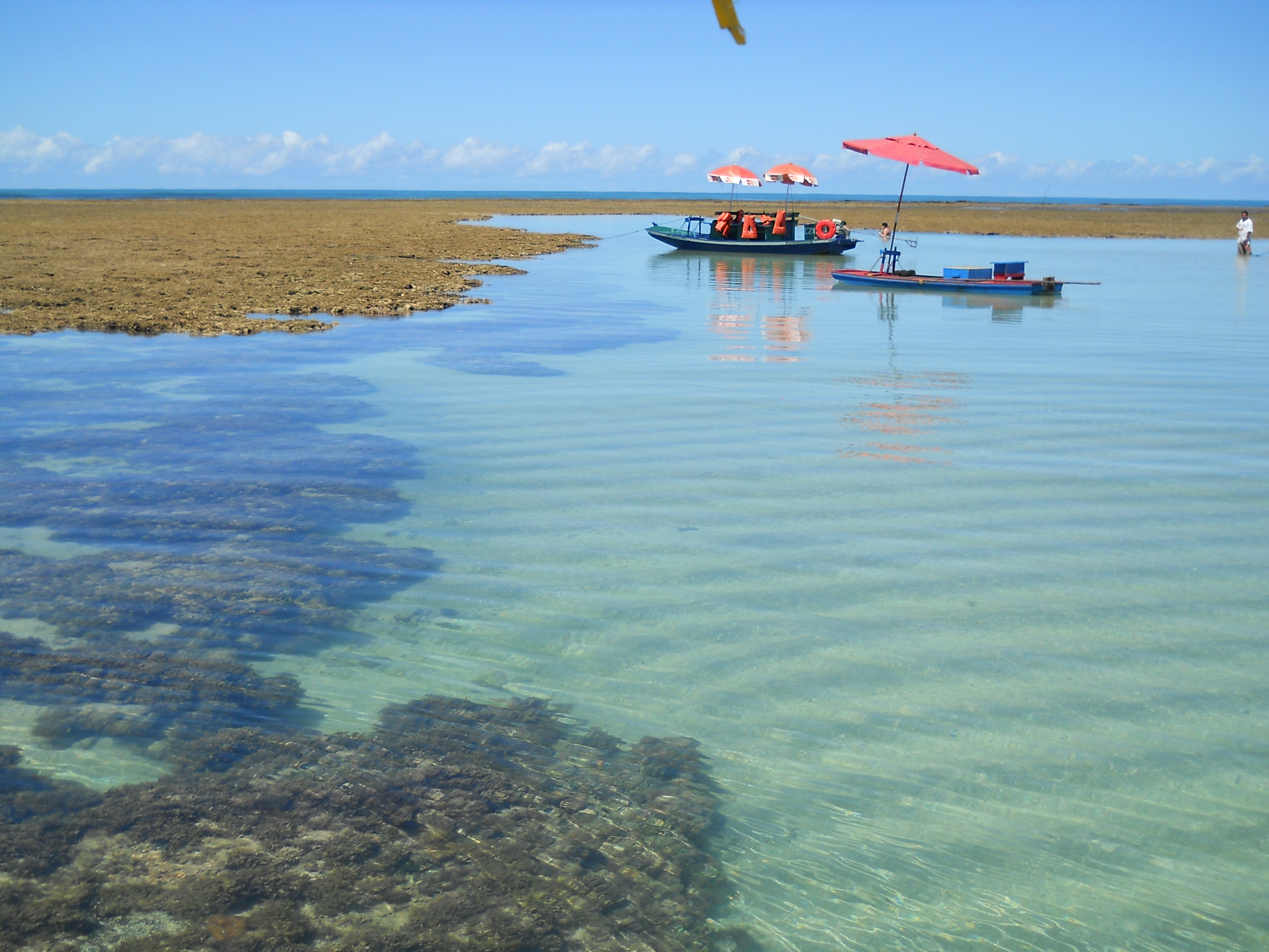 férias piscinas naturais da praia do patacho